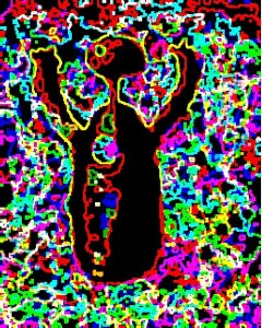 2616