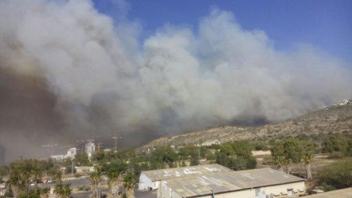 whatsapp-image-2016-11-24-at-13-38-56