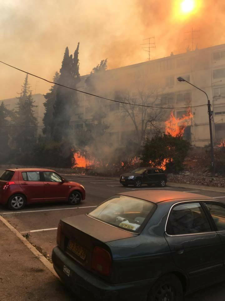 15232286_10154732054343571_2542104770478783102_n