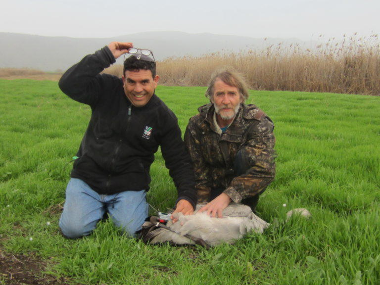 С орнитологом из ЕНФ