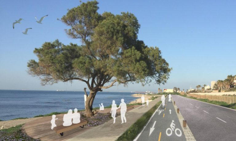 privivdeniya-v-haife