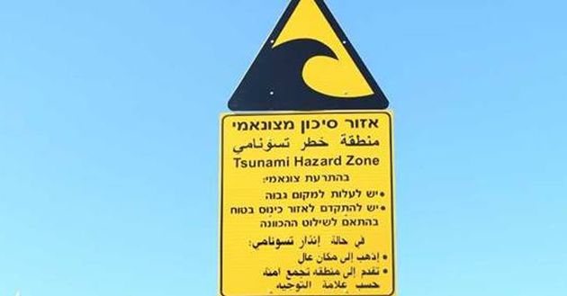 zunami.jpg