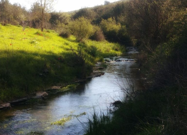 парк нахаот ха-шофет (1)