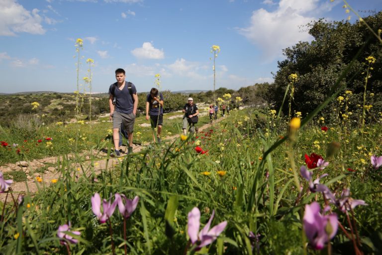 יוסי זמיר (21)