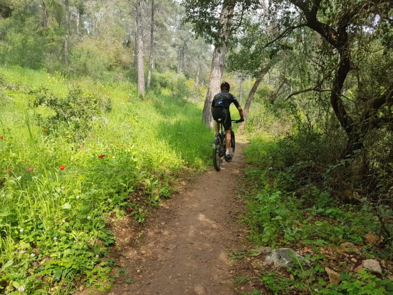 מערך הסברה קקל (2)