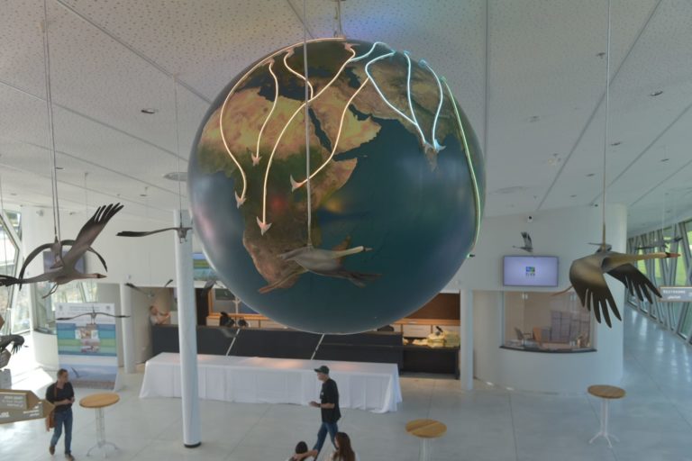 HULA_HAPER_CENTER (6)