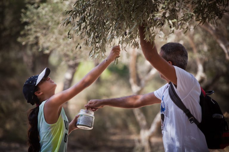 פארק קנדה מסיק סוכות 2015 2