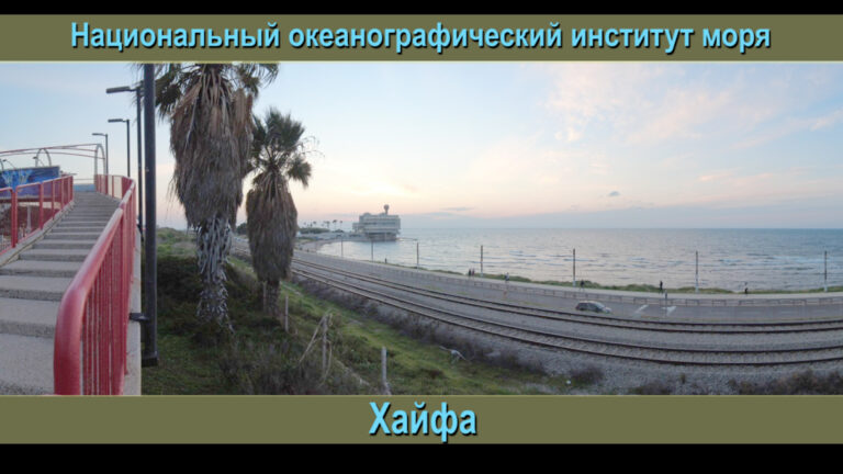 институт всех морей в Хайфе
