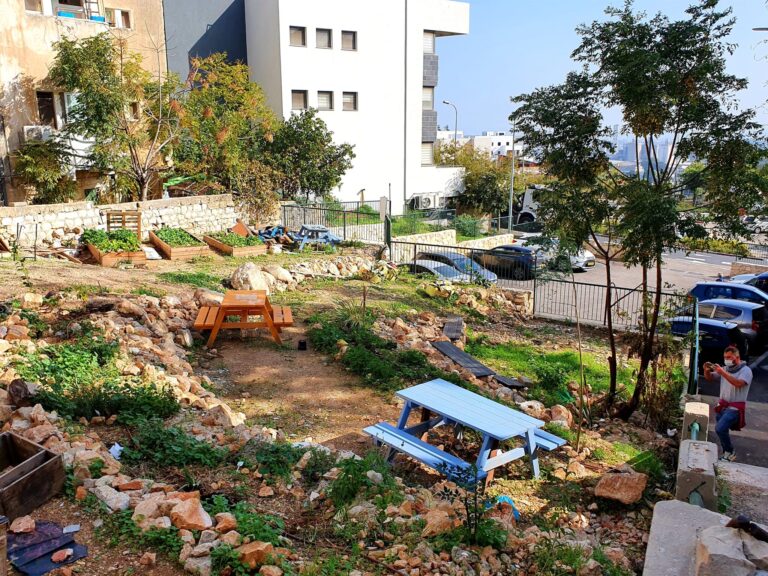 20201205_113701-2048x1536[1]