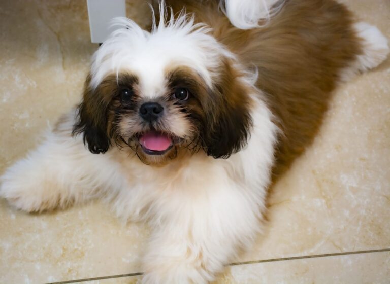 Изображение WhatsApp 2022-10-22 в 20.41.32