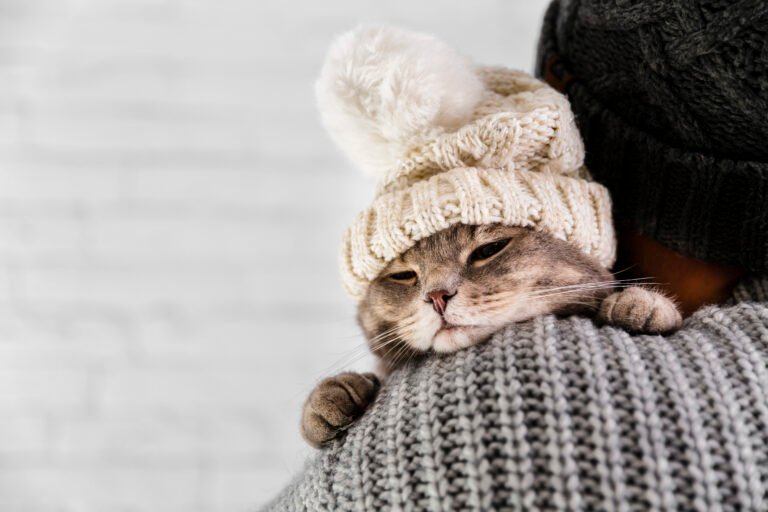 copy-space-cute-cat-wearinf-fur-cap-winter