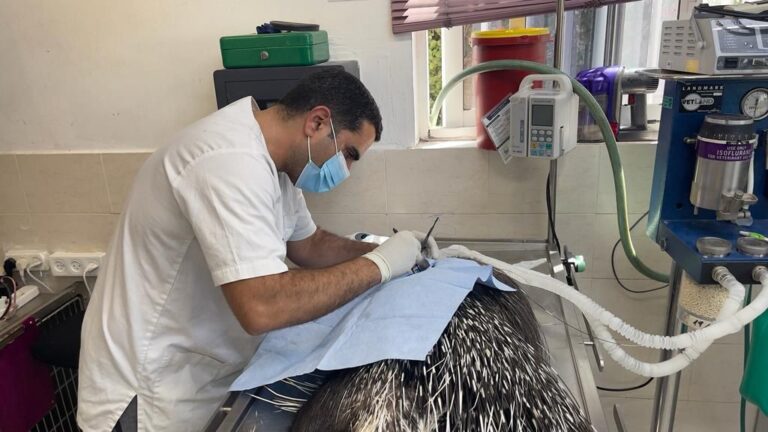 bbdf036b-12b5-46cc-92b9-8edb1c241ef5