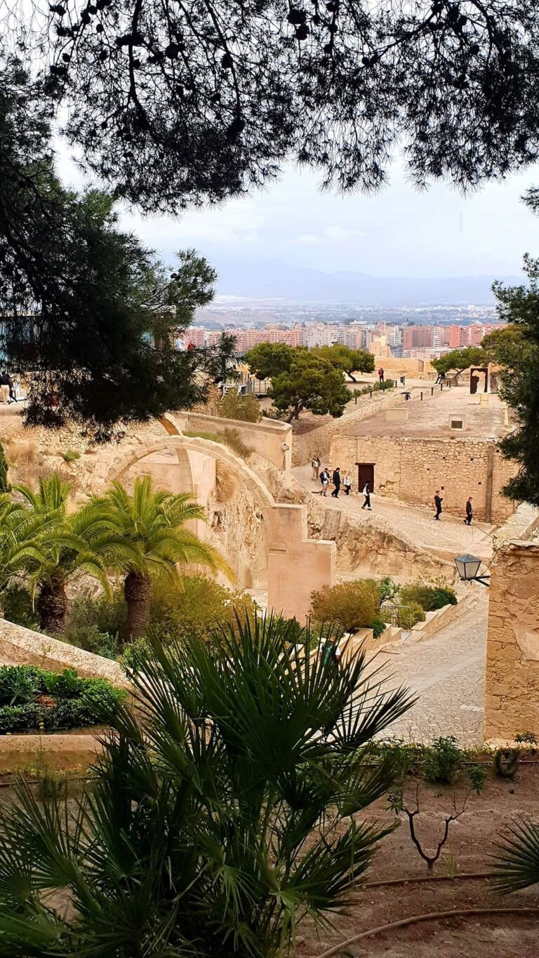 FB_IMG_1714609750190