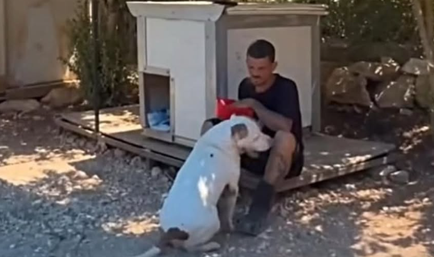 Собака была не кусачей? Подозрение внутри семьи искусанного? и умершего ребенка 10 месяцев